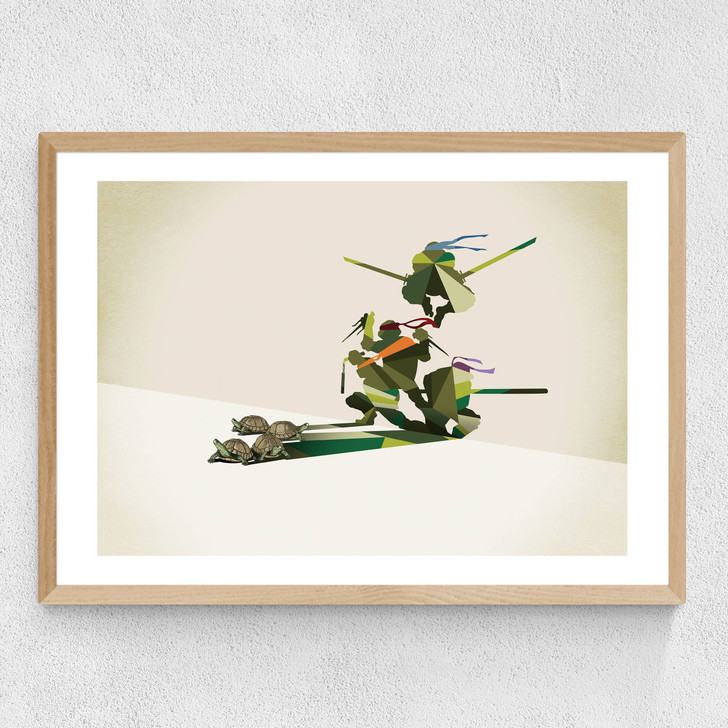 Walking Shadows: Turtles