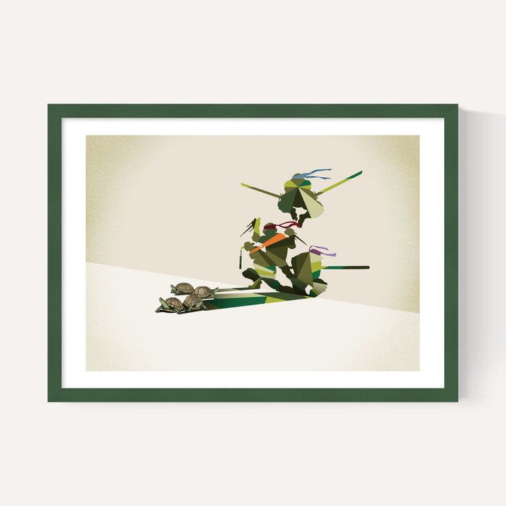 Walking Shadows: Turtles
