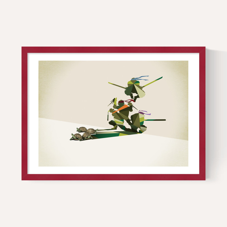 Walking Shadows: Turtles