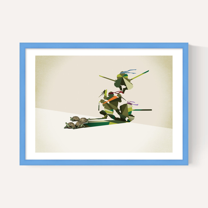 Walking Shadows: Turtles