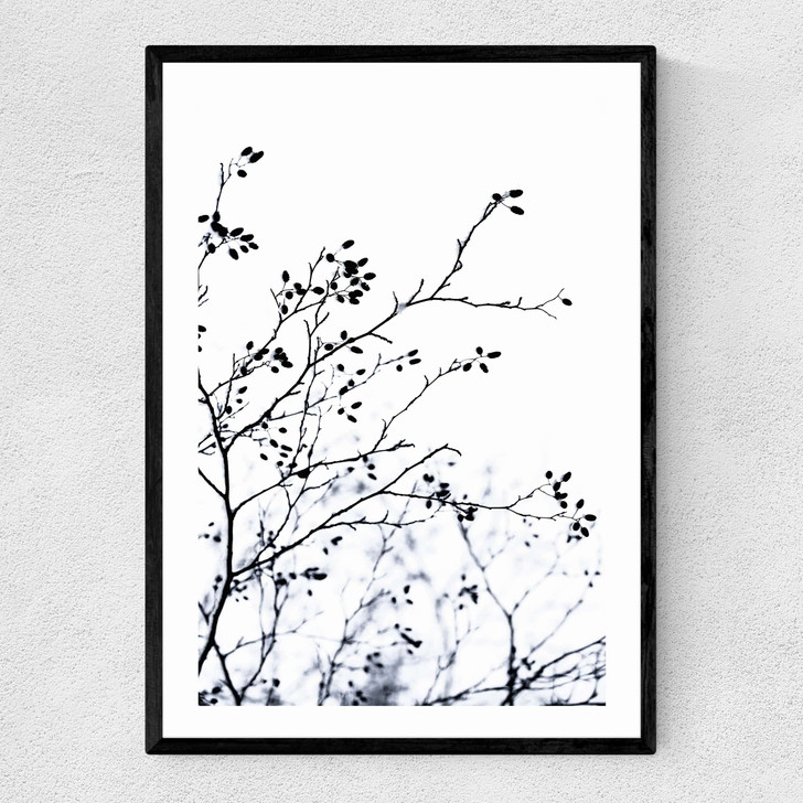 Winter Silhouettes Narrow Black Frame
