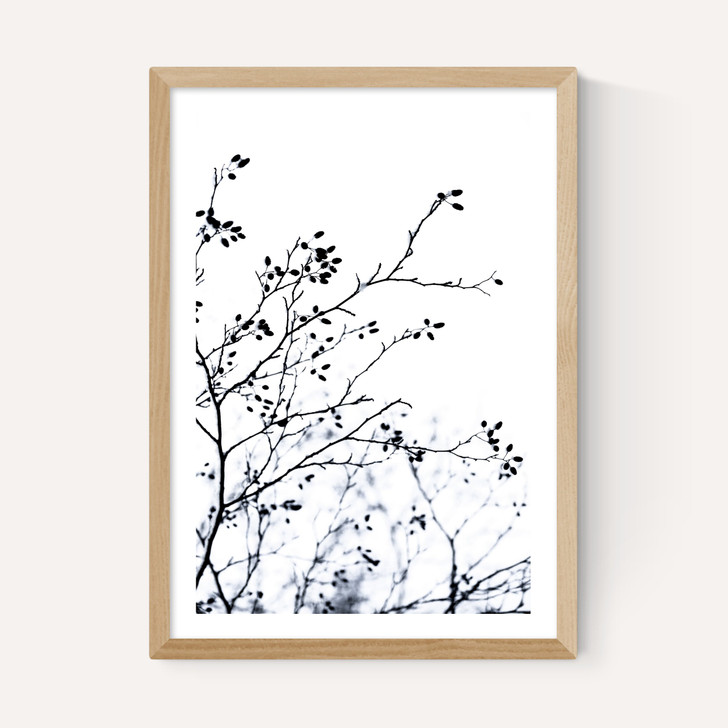 Winter Silhouettes