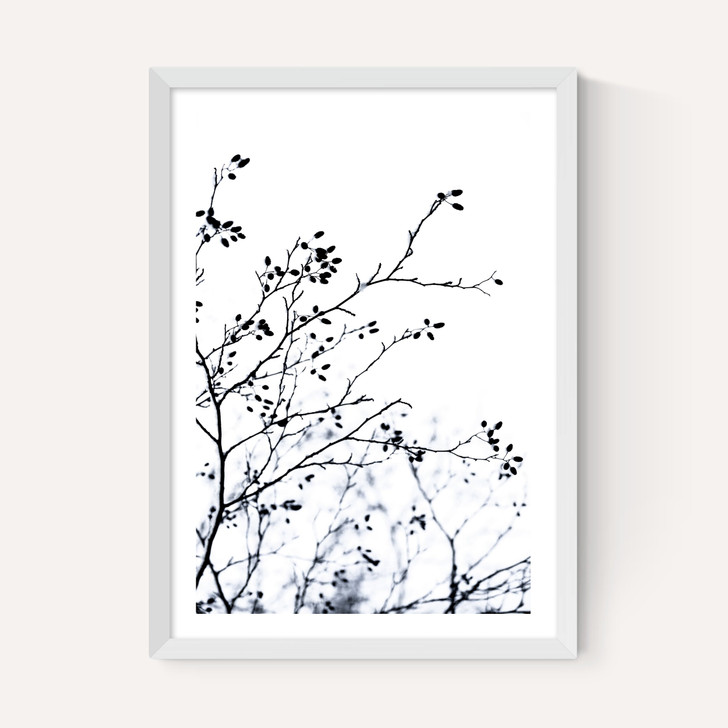 Winter Silhouettes