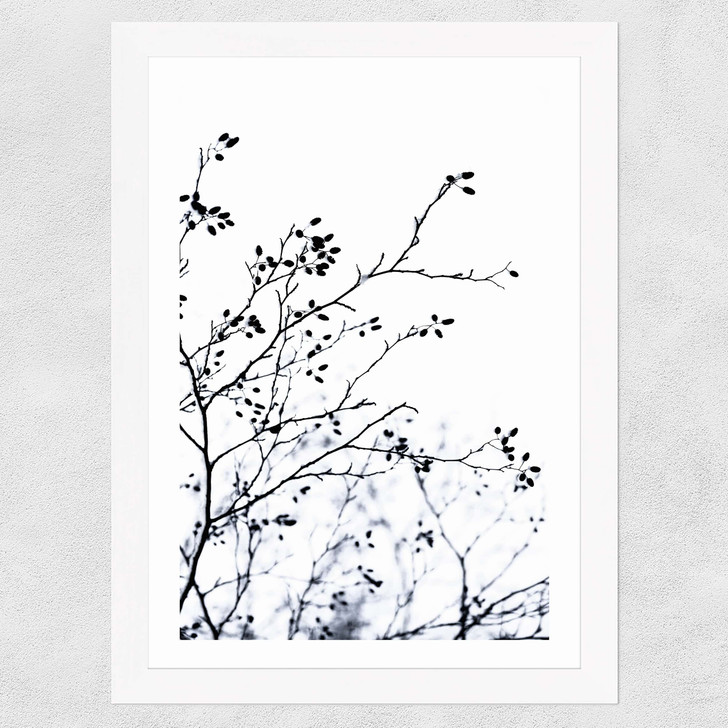 Winter Silhouettes Wide White Frame