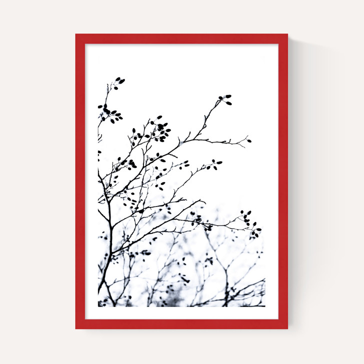 Winter Silhouettes
