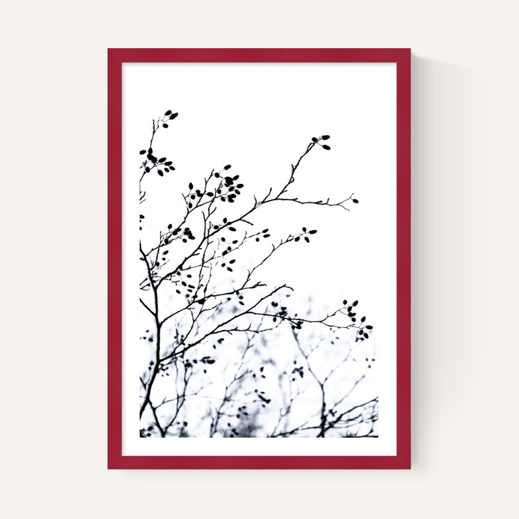 Winter Silhouettes