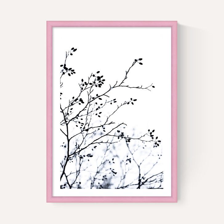 Winter Silhouettes