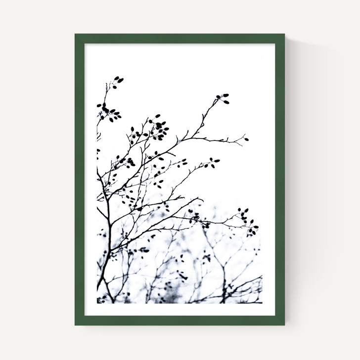 Winter Silhouettes