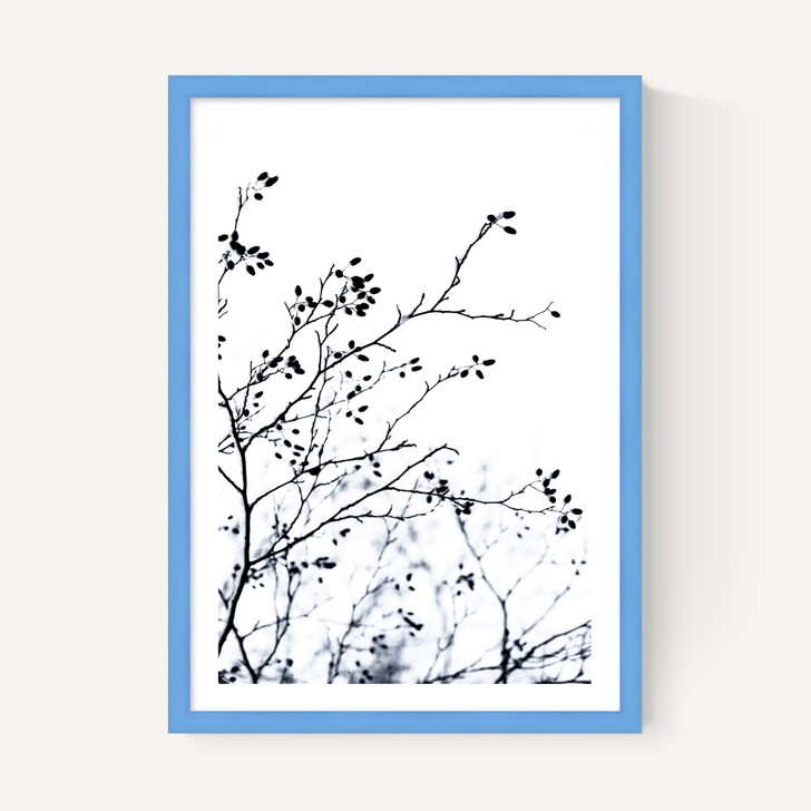 Winter Silhouettes