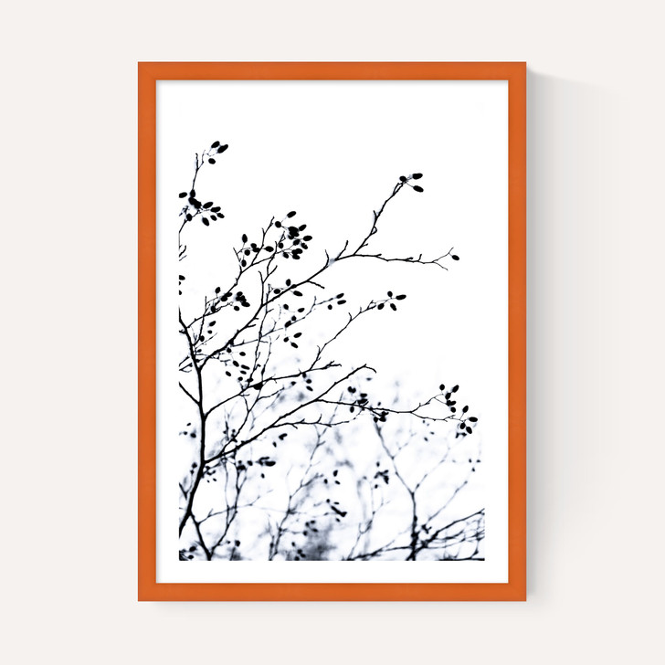 Winter Silhouettes