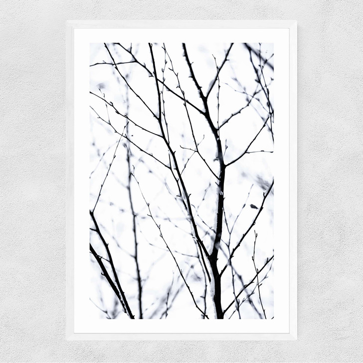 Winter Silhouettes 2 Narrow White Frame Winter Silhouettes 2 Narrow White Frame