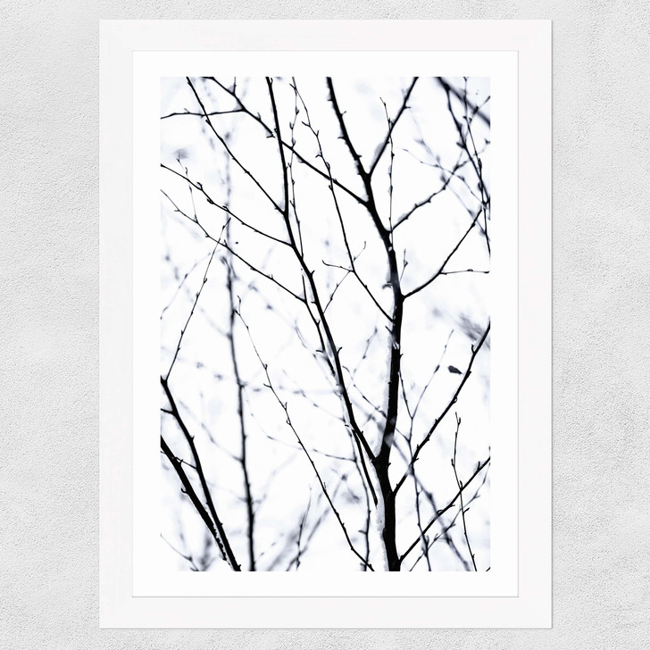 Winter Silhouettes 2 Wide White Frame Winter Silhouettes 2 Wide White Frame