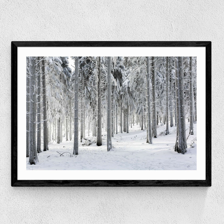 Winter Trees 2 Medium Black Frame Winter Trees 2 Medium Black Frame