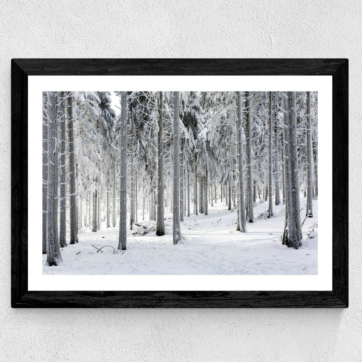 Winter Trees 2 Wide Black Frame Winter Trees 2 Wide Black Frame