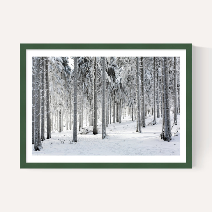 Winter Trees 2