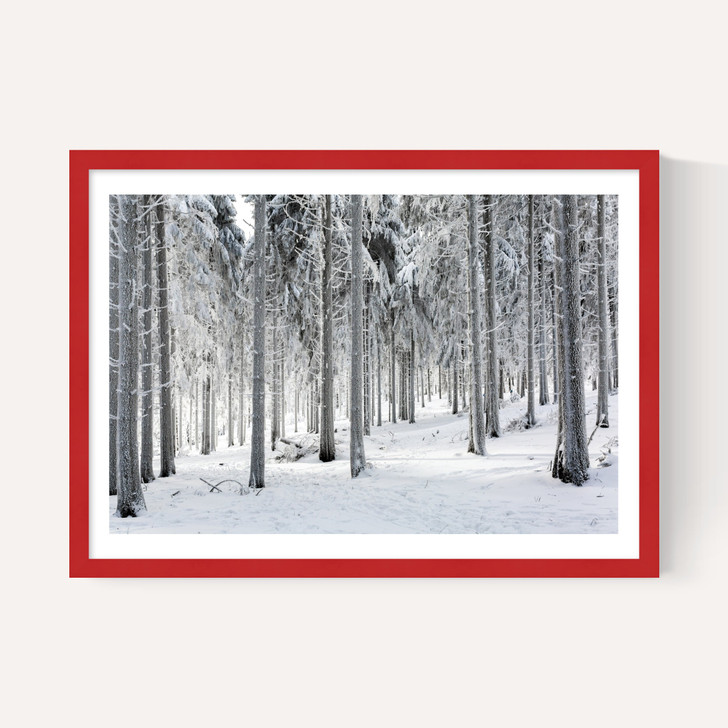 Winter Trees 2