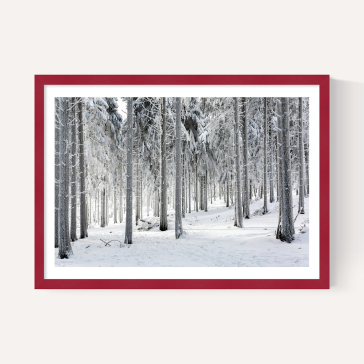 Winter Trees 2