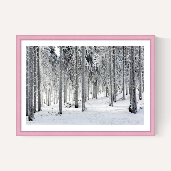 Winter Trees 2