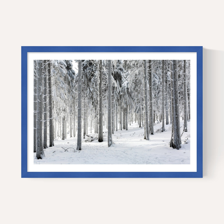 Winter Trees 2