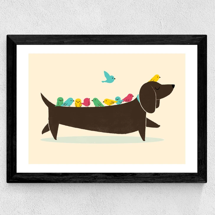 Bird Dog
