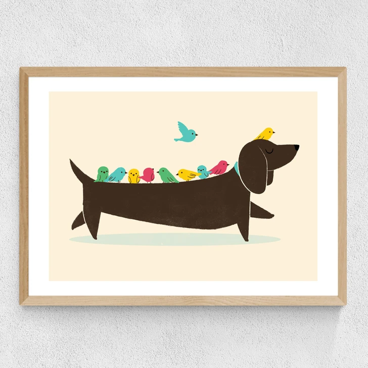 Bird Dog