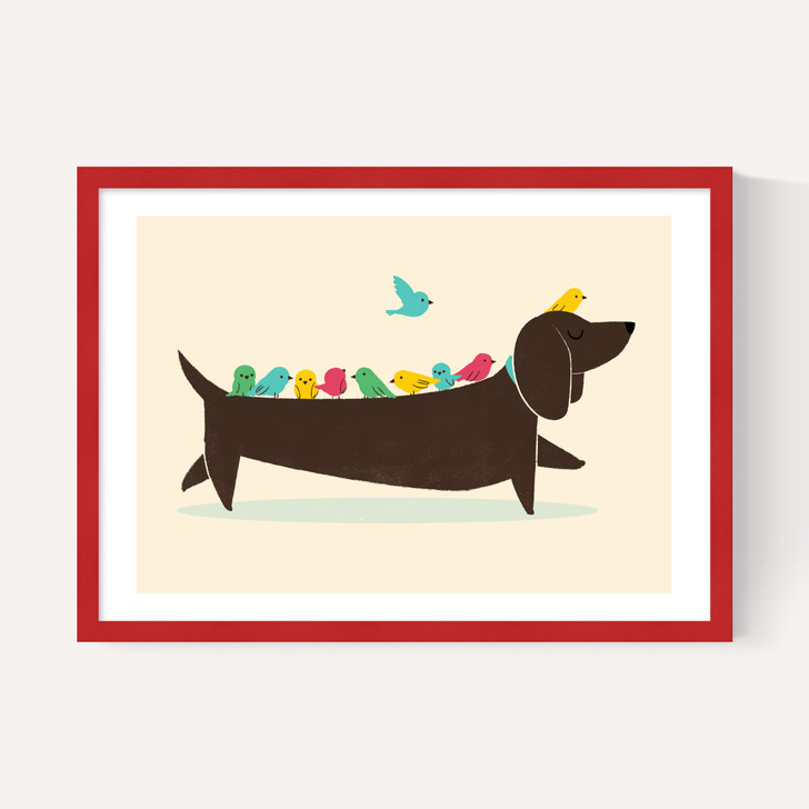 Bird Dog