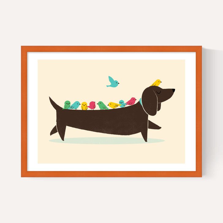 Bird Dog