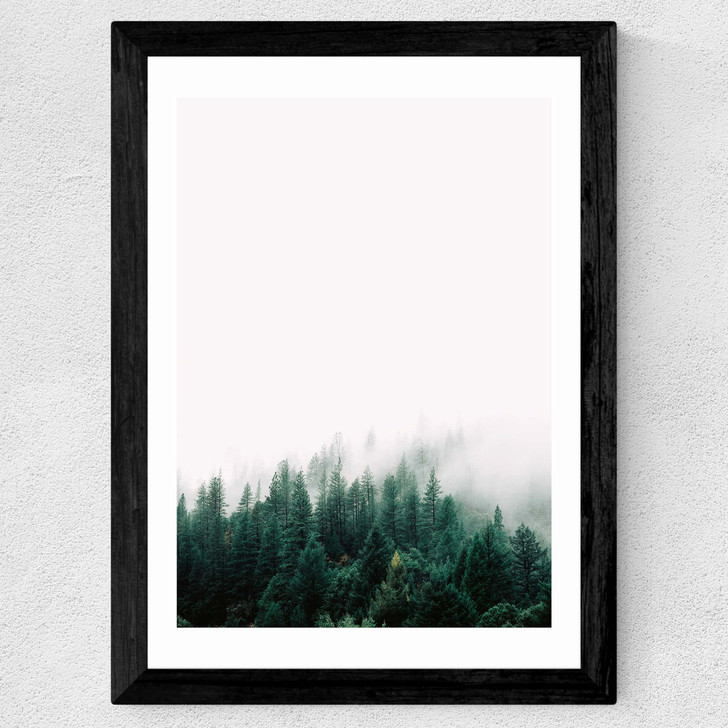 Forest Mist Wide Black Frame