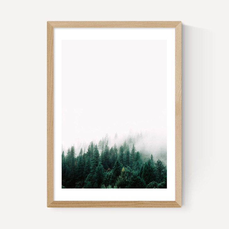 Forest Mist