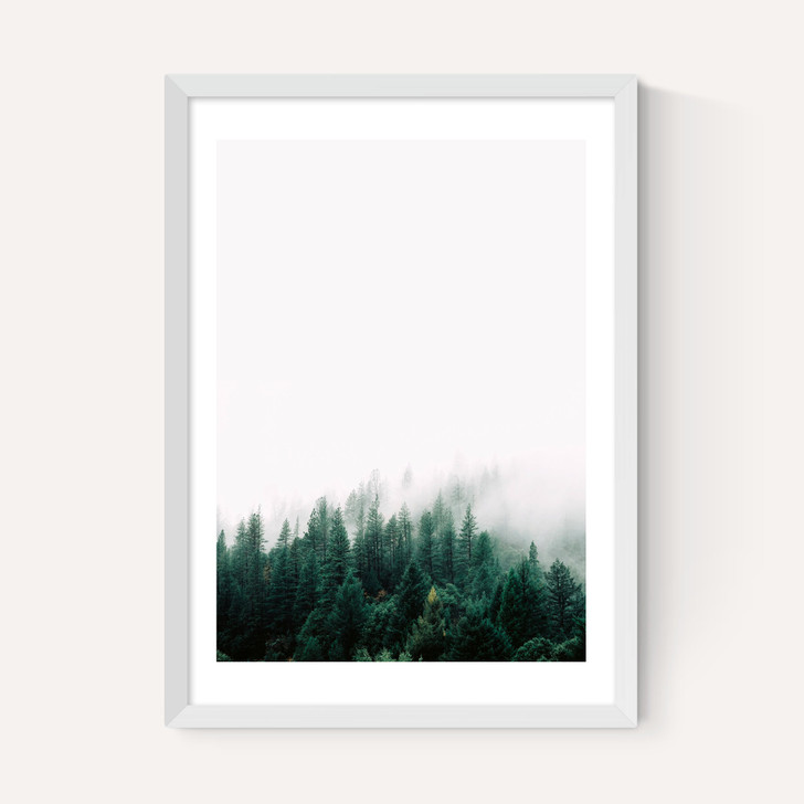 Forest Mist