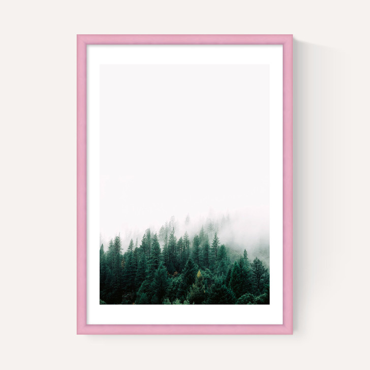 Forest Mist