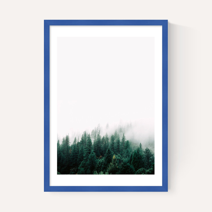 Forest Mist