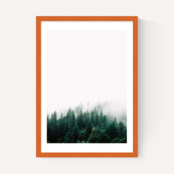 Forest Mist
