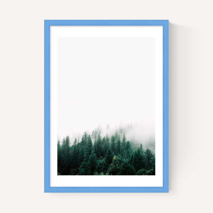 Forest Mist