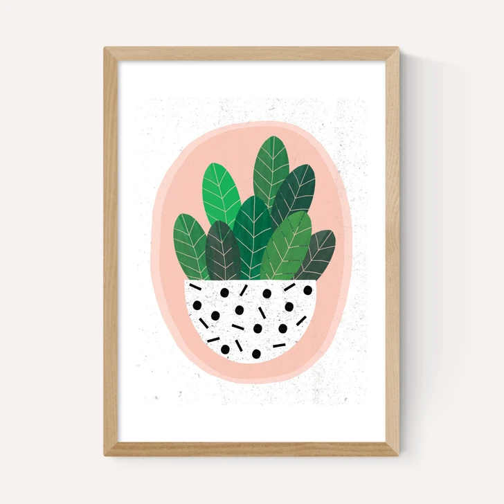 Pot Plant