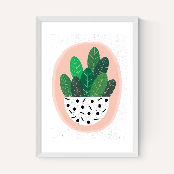 Pot Plant