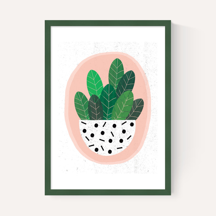 Pot Plant