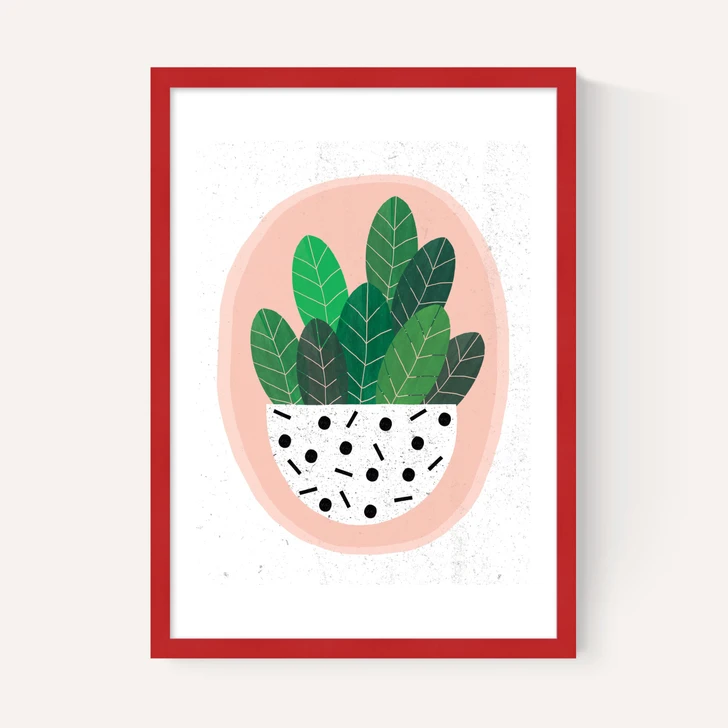 Pot Plant