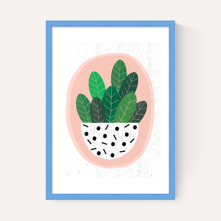 Pot Plant