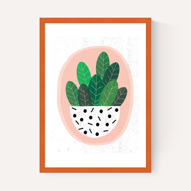 Pot Plant