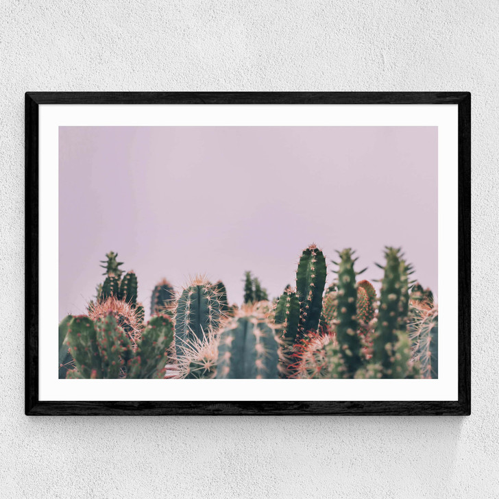 Cactus Garden Medium Black Frame