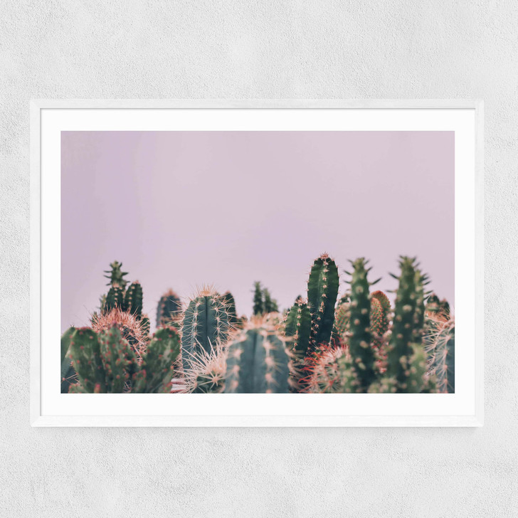 Cactus Garden Narrow White Frame