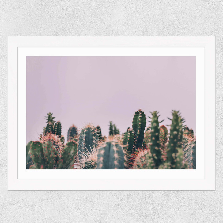 Cactus Garden Wide White Frame