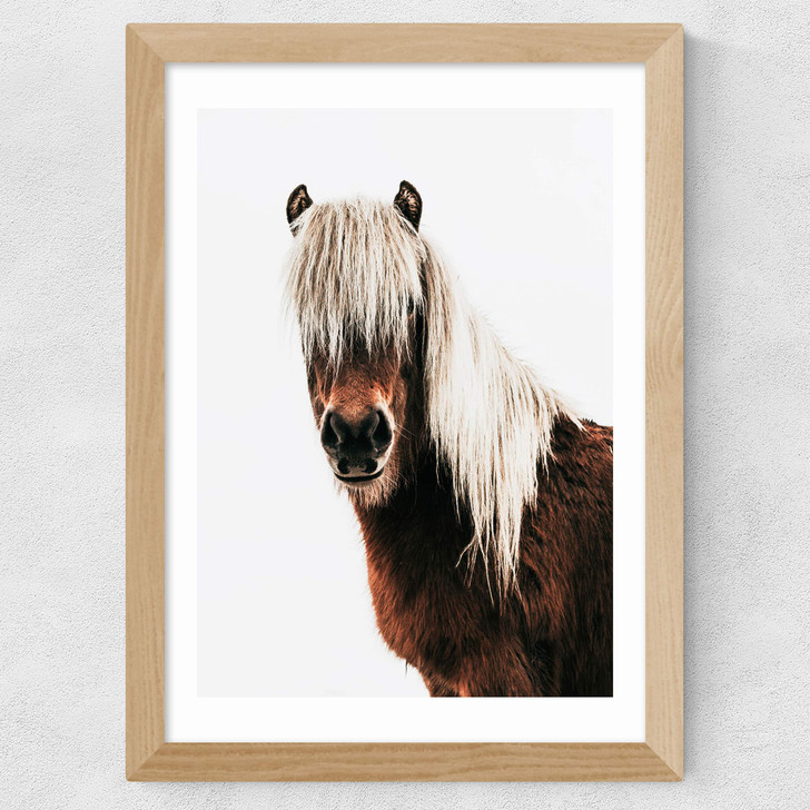Horse by Rafael Farias Wide Oak Frame