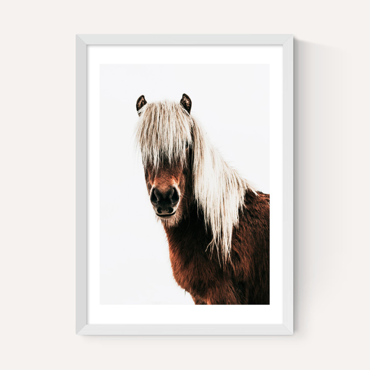 Horse by Rafael Farias