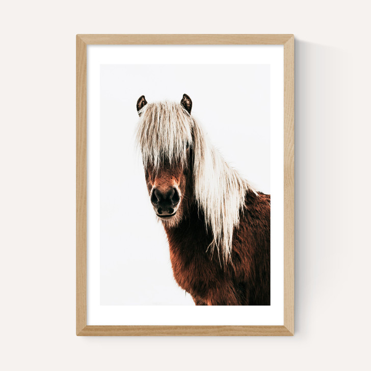 Horse by Rafael Farias