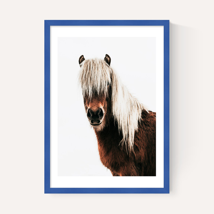 Horse by Rafael Farias