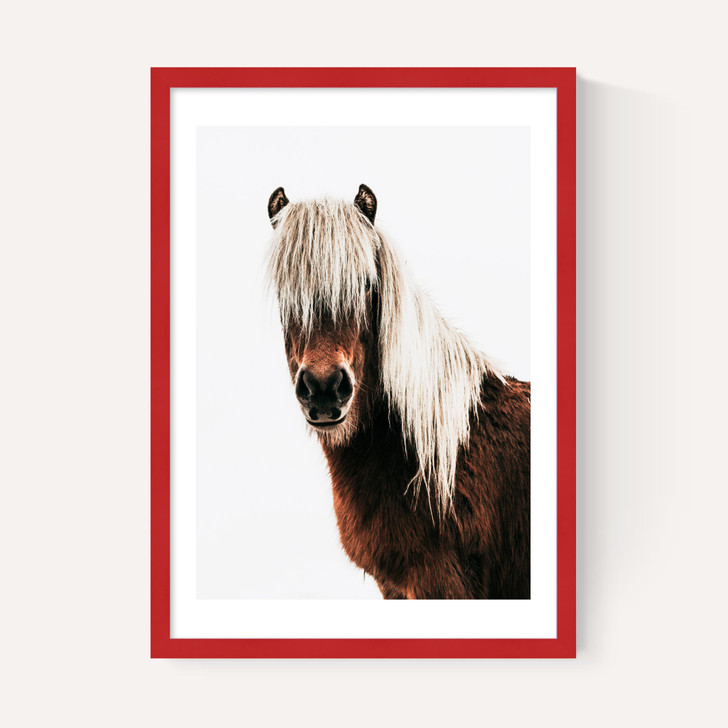 Horse by Rafael Farias