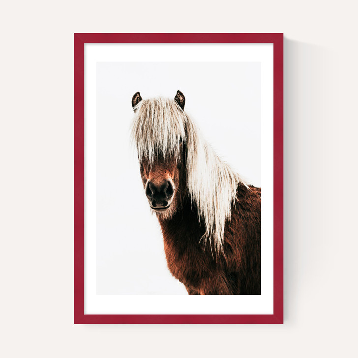 Horse by Rafael Farias