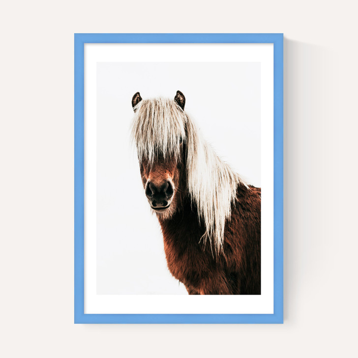 Horse by Rafael Farias